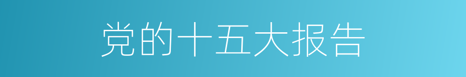 党的十五大报告的同义词