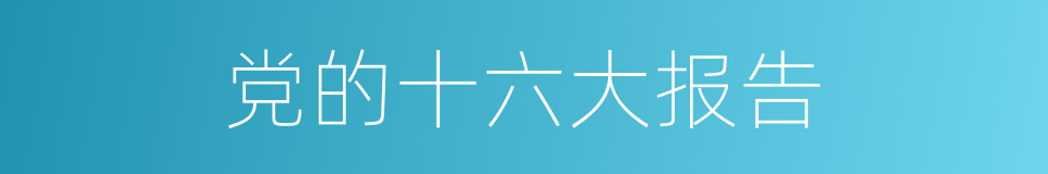 党的十六大报告的同义词