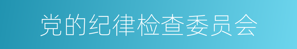 党的纪律检查委员会的同义词