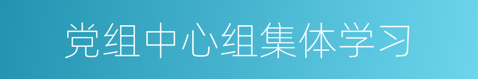 党组中心组集体学习的同义词