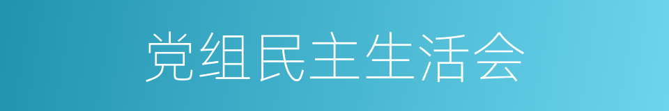 党组民主生活会的同义词