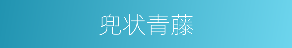 兜状青藤的同义词