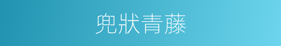 兜狀青藤的同義詞