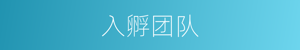 入孵团队的同义词