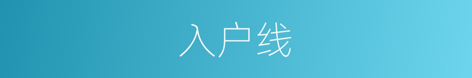 入户线的同义词