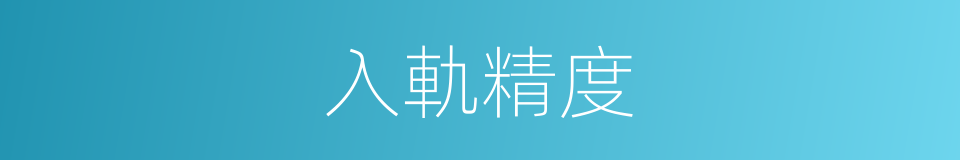 入軌精度的同義詞