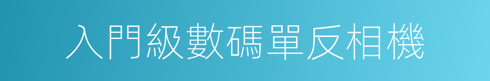 入門級數碼單反相機的同義詞