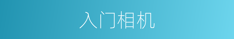 入门相机的同义词
