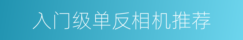 入门级单反相机推荐的同义词