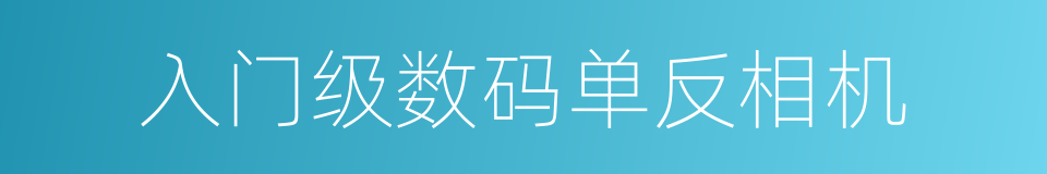 入门级数码单反相机的同义词