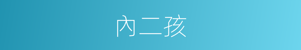 內二孩的同義詞