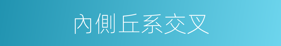 內側丘系交叉的同義詞
