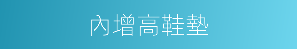 內增高鞋墊的同義詞