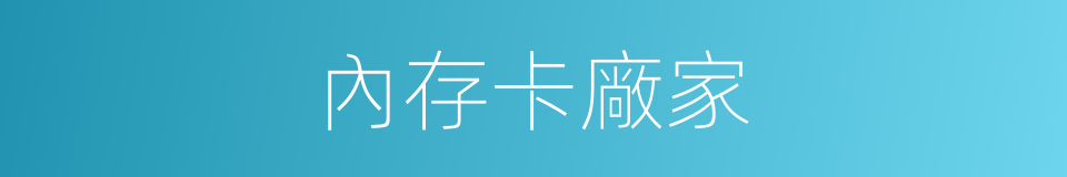 內存卡廠家的同義詞