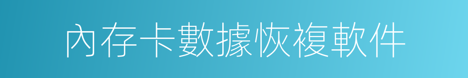 內存卡數據恢複軟件的同義詞