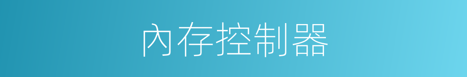 內存控制器的同義詞