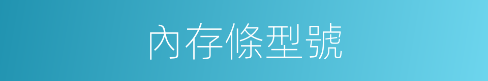 內存條型號的同義詞