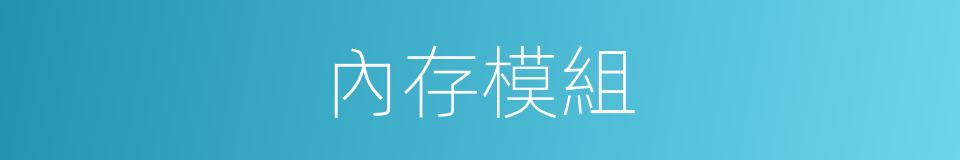 內存模組的同義詞