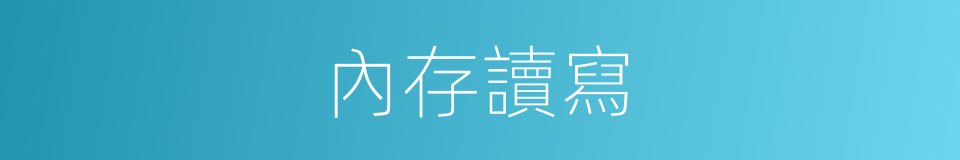 內存讀寫的同義詞