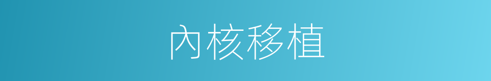 內核移植的同義詞