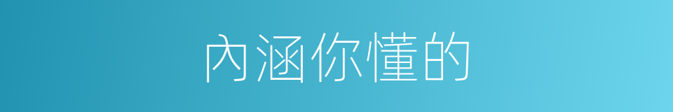 內涵你懂的的同義詞