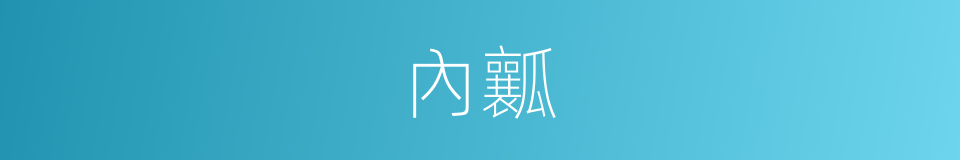內瓤的意思