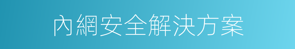 內網安全解決方案的同義詞