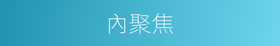 內聚焦的同義詞