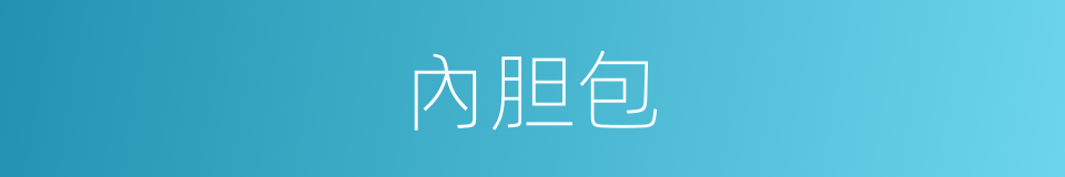 內胆包的同義詞