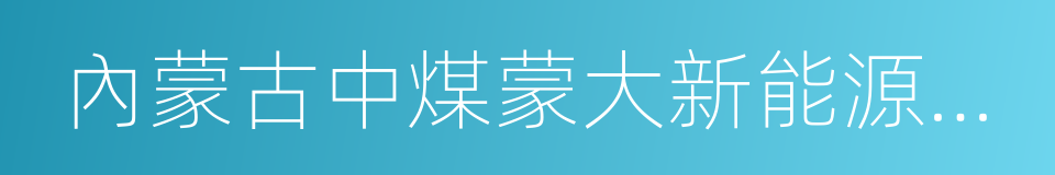 內蒙古中煤蒙大新能源化工有限公司的同義詞