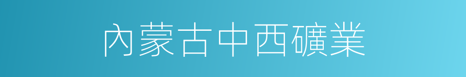 內蒙古中西礦業的同義詞
