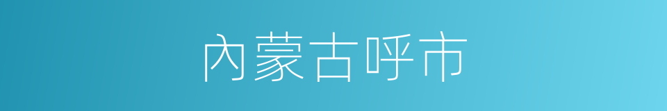 內蒙古呼市的同義詞