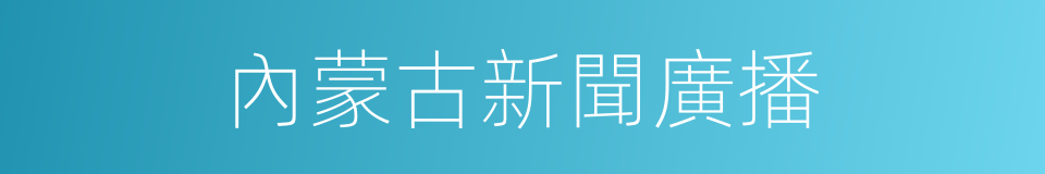 內蒙古新聞廣播的同義詞