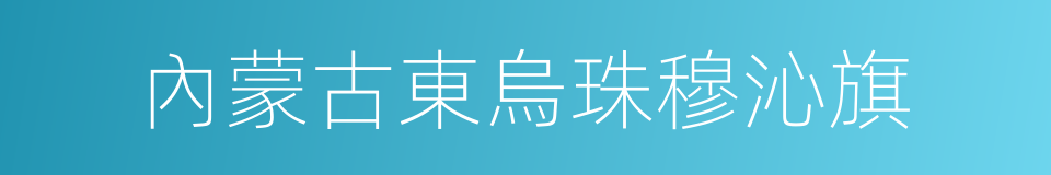 內蒙古東烏珠穆沁旗的同義詞