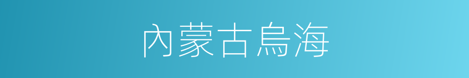 內蒙古烏海的同義詞