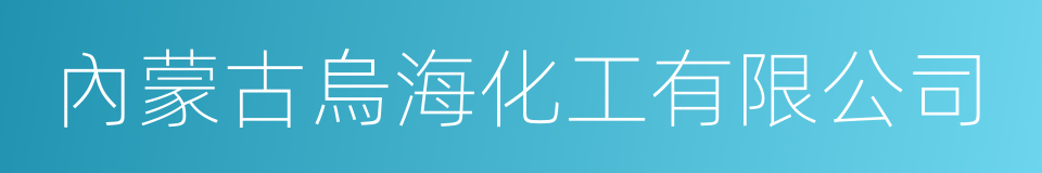 內蒙古烏海化工有限公司的同義詞