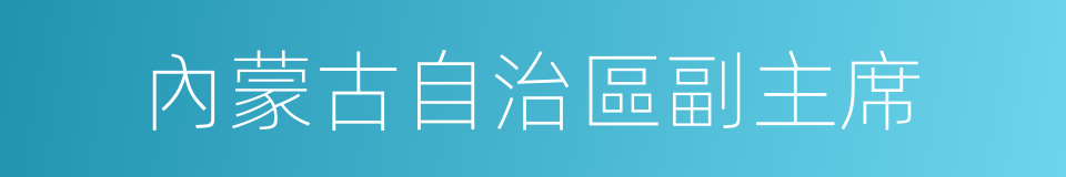 內蒙古自治區副主席的同義詞