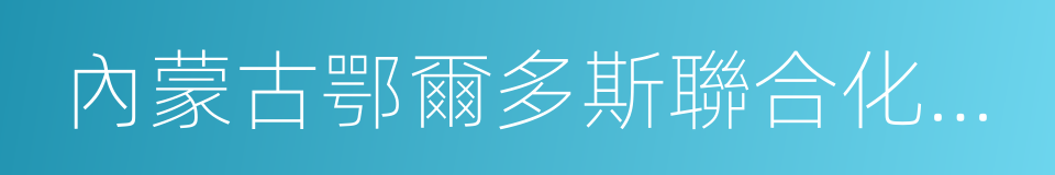 內蒙古鄂爾多斯聯合化工有限公司的同義詞