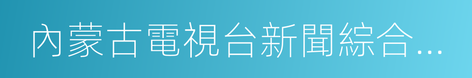 內蒙古電視台新聞綜合頻道的同義詞