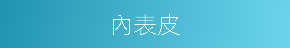 內表皮的同義詞