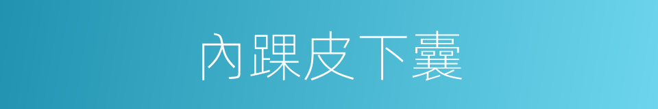 內踝皮下囊的同義詞