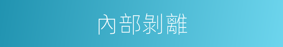 內部剝離的同義詞