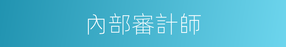 內部審計師的同義詞
