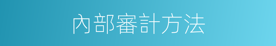 內部審計方法的同義詞