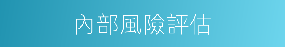內部風險評估的同義詞