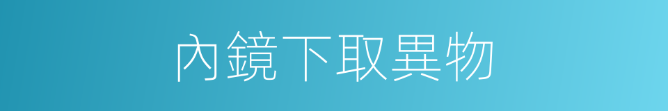 內鏡下取異物的同義詞
