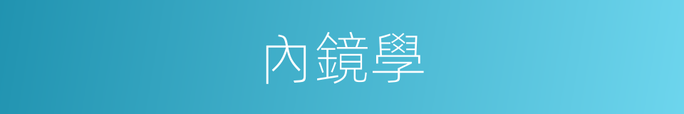 內鏡學的同義詞