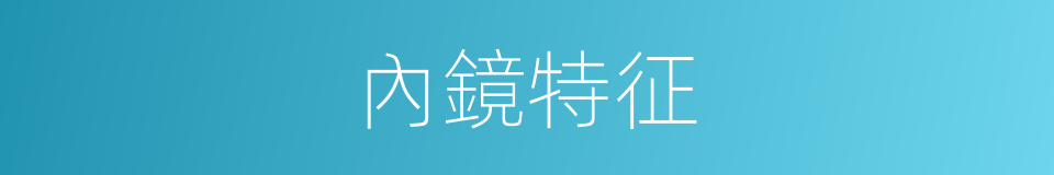 內鏡特征的同義詞