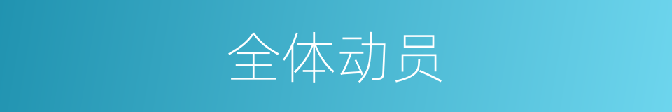 全体动员的意思
