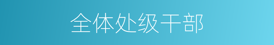 全体处级干部的同义词